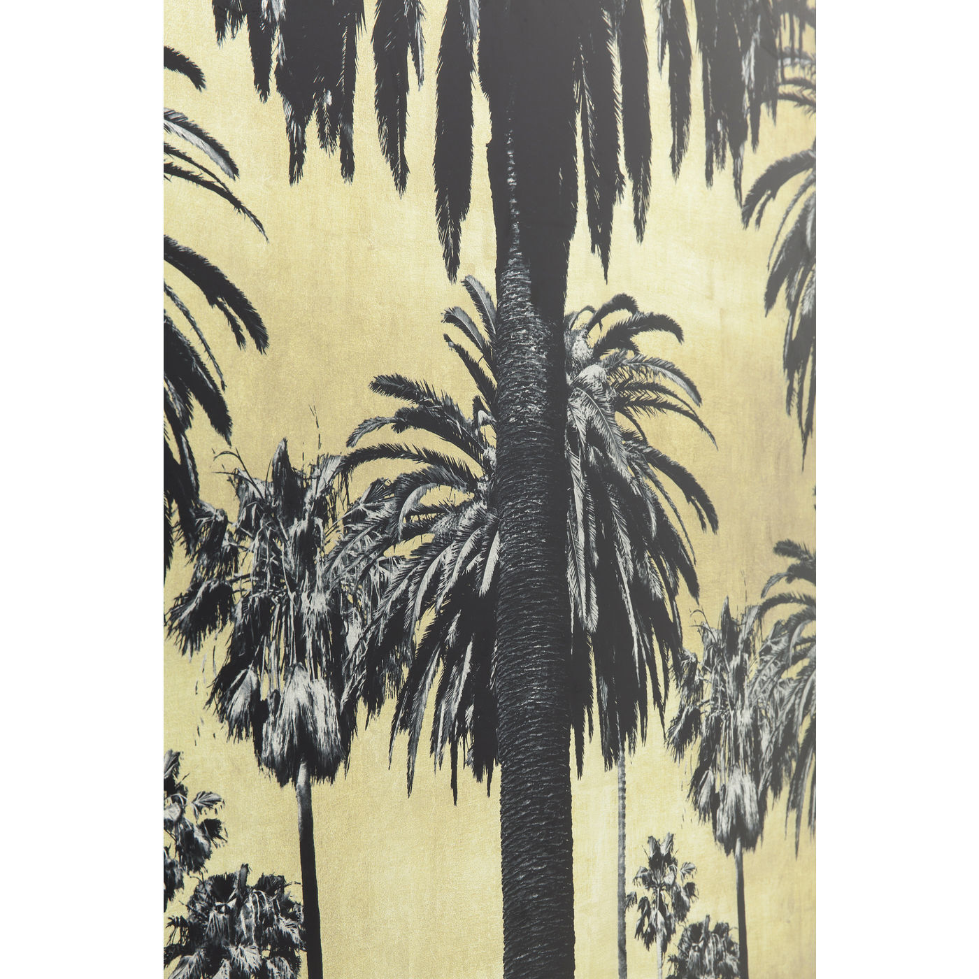 Картина Palms 61958 KARE