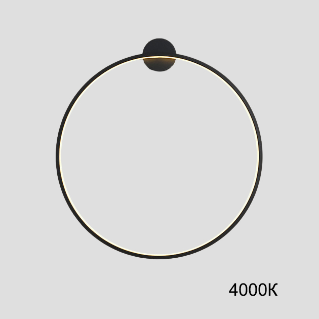 Настенный светильник GUARD B D100 4000К by ImperiumLoft