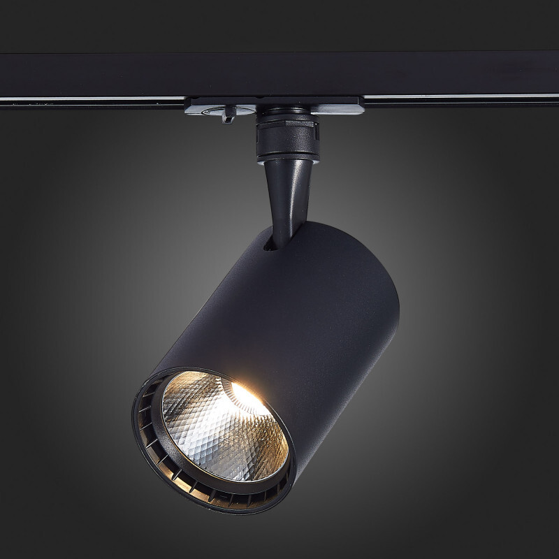 Светильник на шине ST Luce ST351.436.30.36