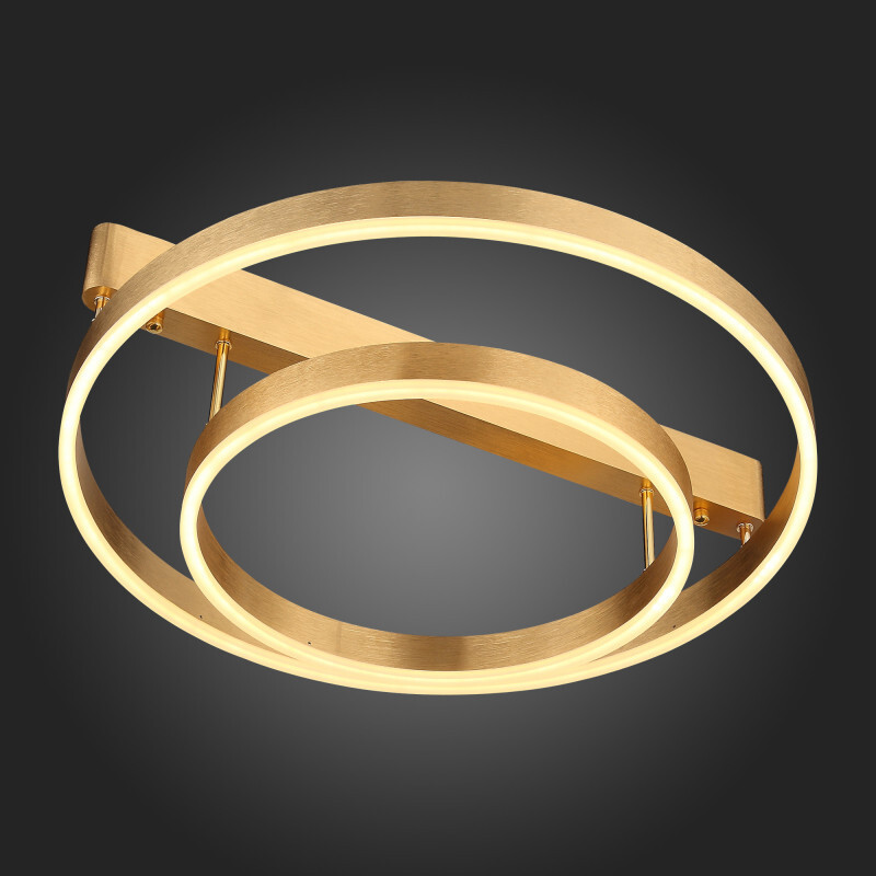 Накладная люстра ST Luce SL944.202.02