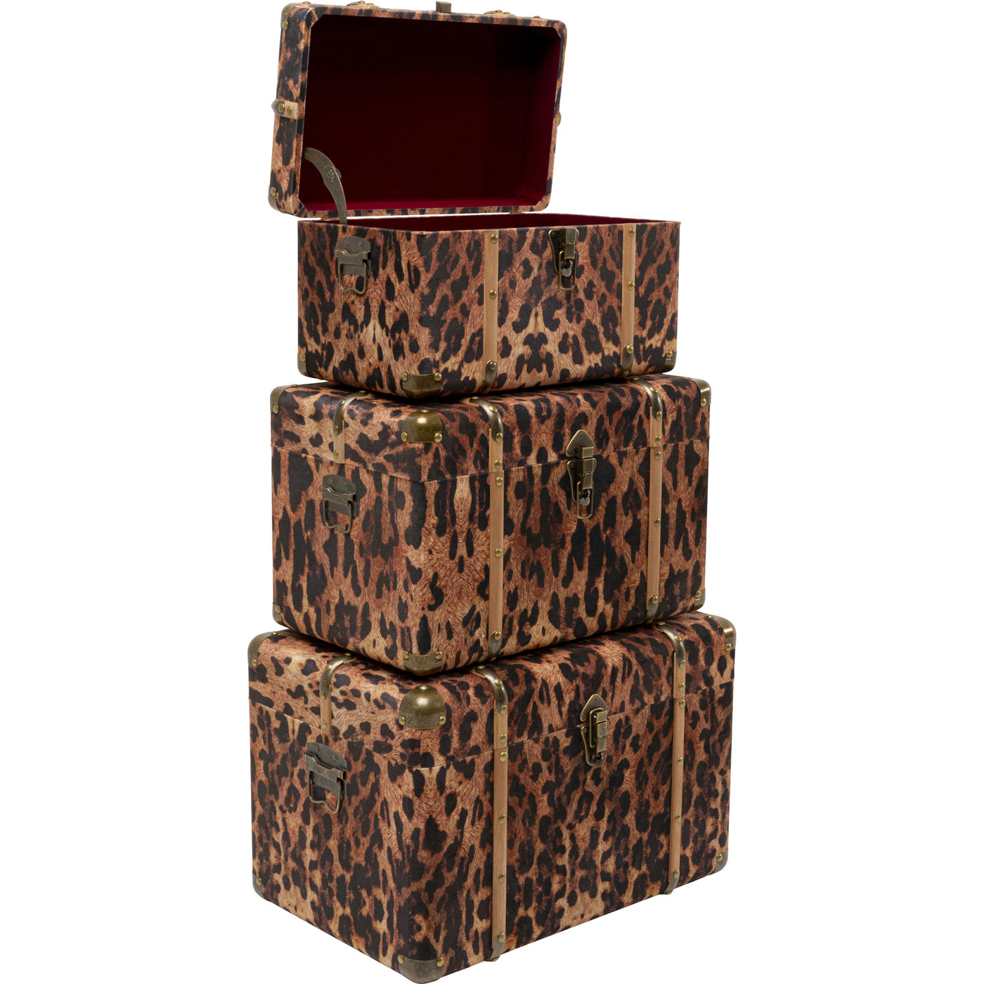 Шкатулка Wild Animal Leo (3/Set) KARE 71236