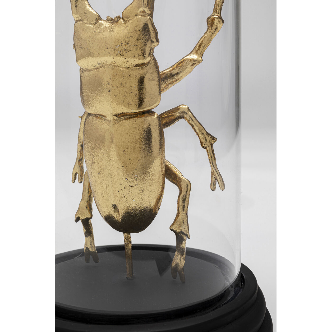 Объект декоративный Bell Jar Hercules Beetle 20cm KARE 57720