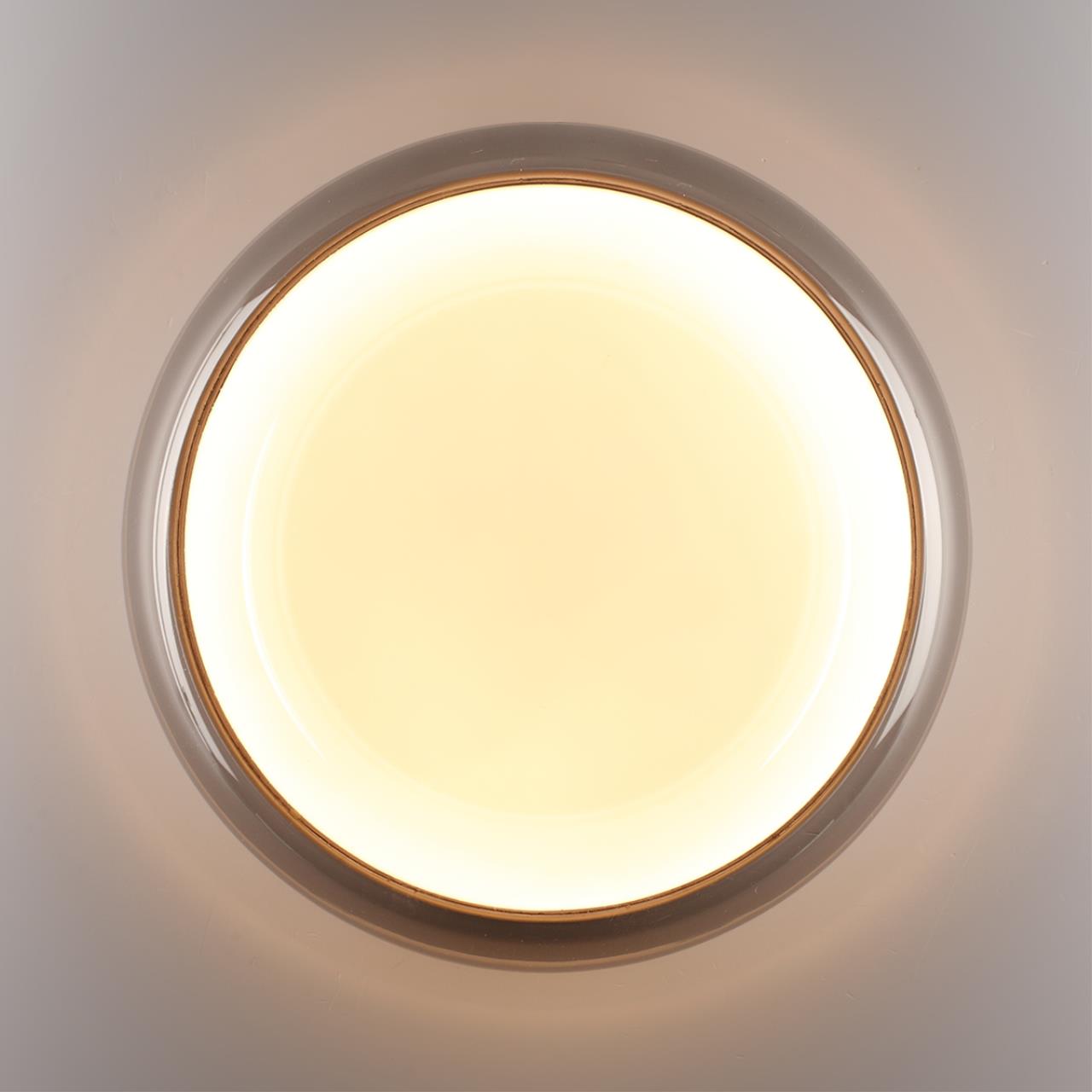 Настенно-потолочный светильник Sonex 7777/DLN