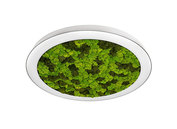 Накладной светодиодный светильник Donolux DL800C72NW Moss White