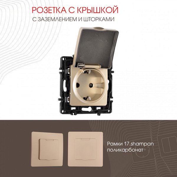 Розетка Arte Milano 217.41-1.shampan