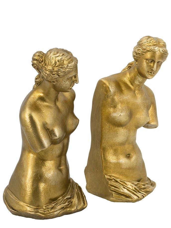 Держатели для книг Венера Милосская Glasar B5512