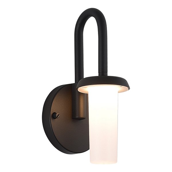 Светильник настенный ST-Luce SL9539.701.01