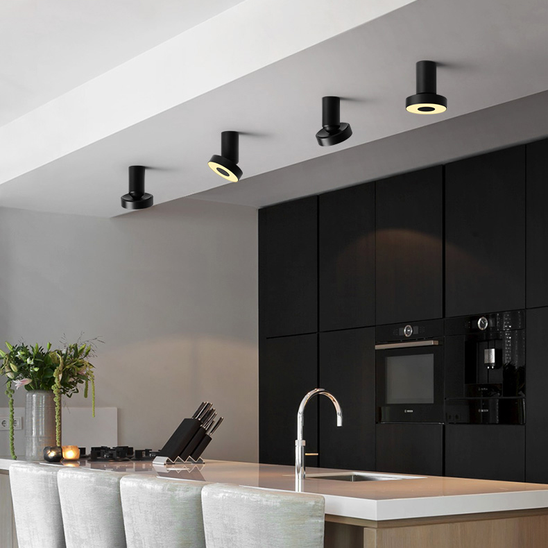 Потолочный точечный светильник STIR Silver by ImperiumLoft