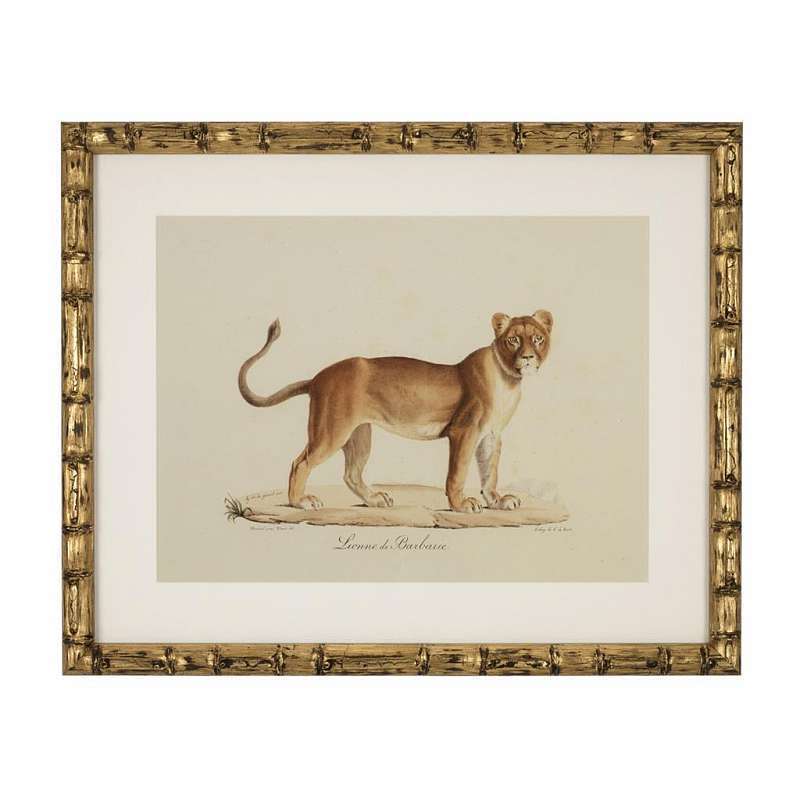 Постер Eichholtz Lion 111745