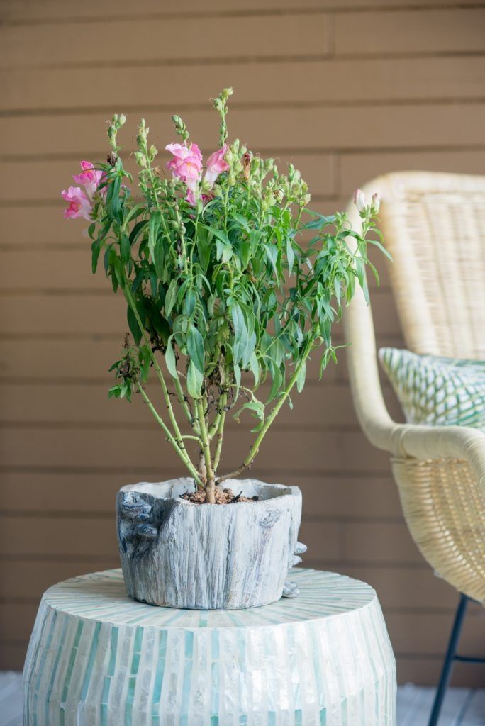 Кашпо Glasar SA60087