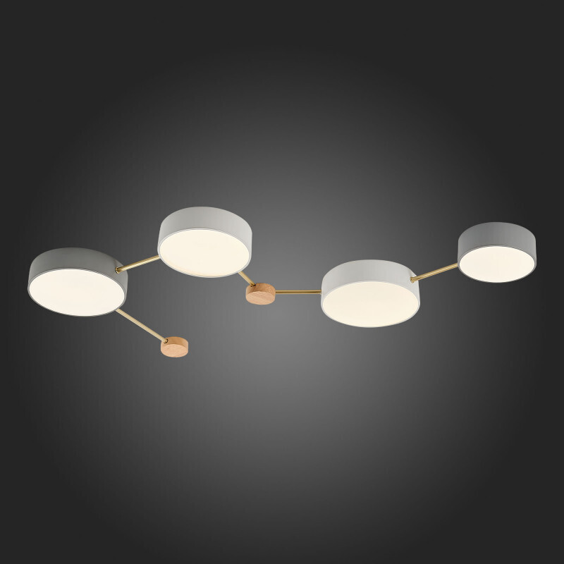 Накладной светильник Evoluce SLE600102-04