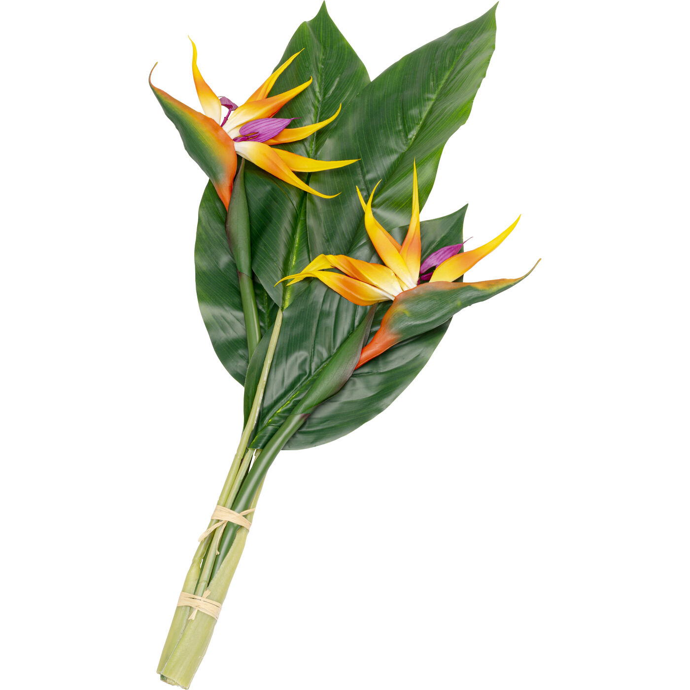 Растение декоративное Paradise Bird 70cm KARE 58346