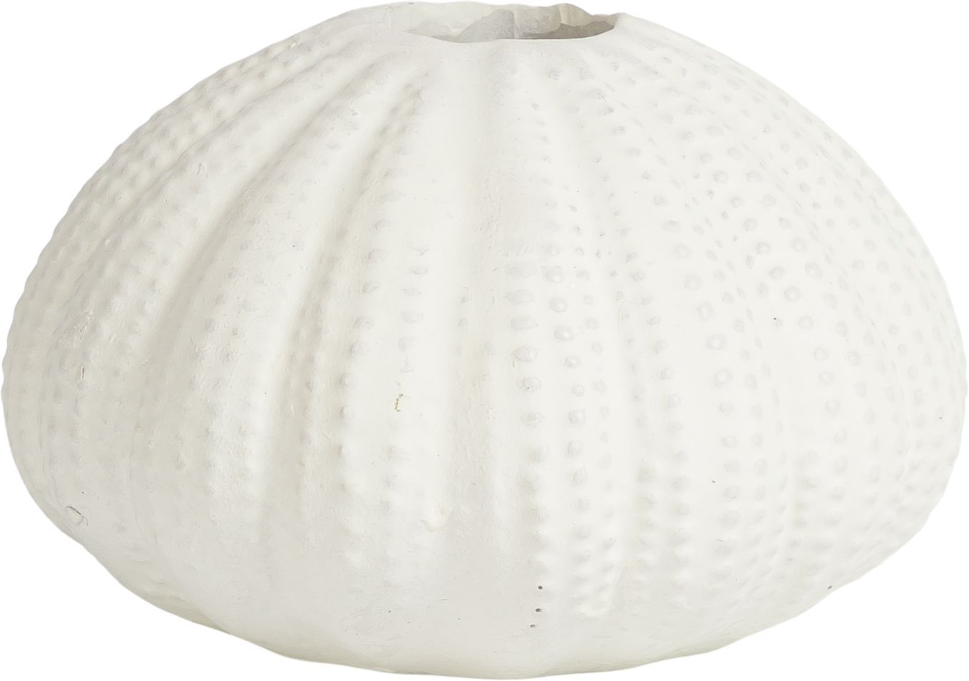 Подсвечник Ракушка Glasar 28-568