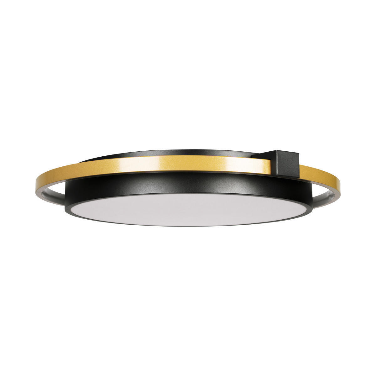 Потолочный светильник LOFT IT Mike 10170