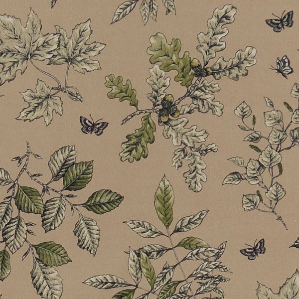 Текстиль Clarke &amp; Clarke Eden F1329/01