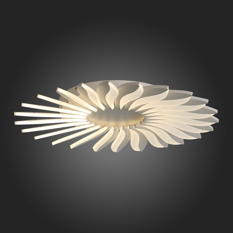 Накладная люстра ST Luce SL836.502.24