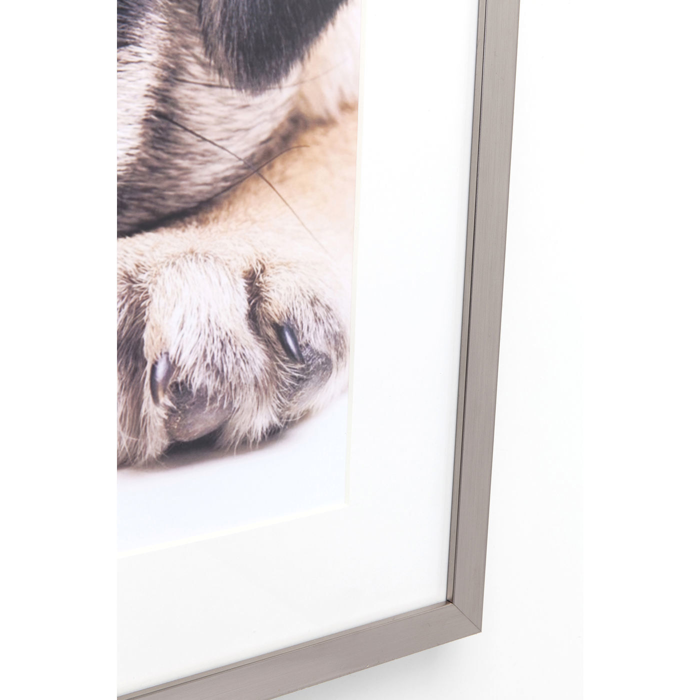 Картина в рамке Mops 63945 KARE