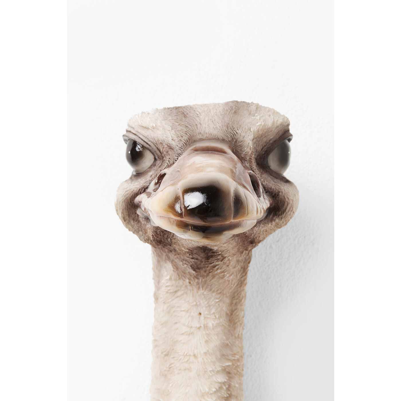 Украшение настенное Ostrich 60940 KARE