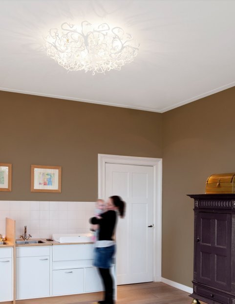 Потолочный светильник Brand Van Egmond Icy Lady 60 Nickel