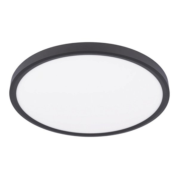 Накладной светильник LOFT IT 10227/40 Black