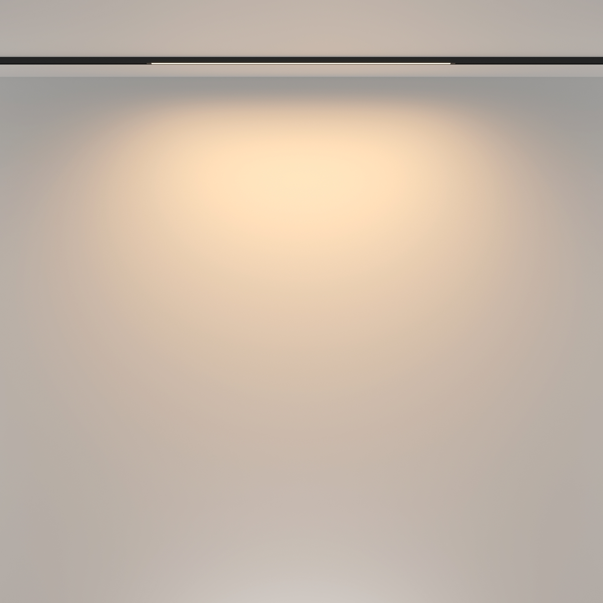 Трековый светильник Technical TR173-1-16WTW-B