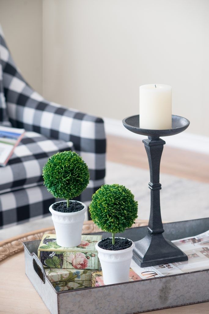 Растения декоративные Самшит, набор Glasar 29570-CREA