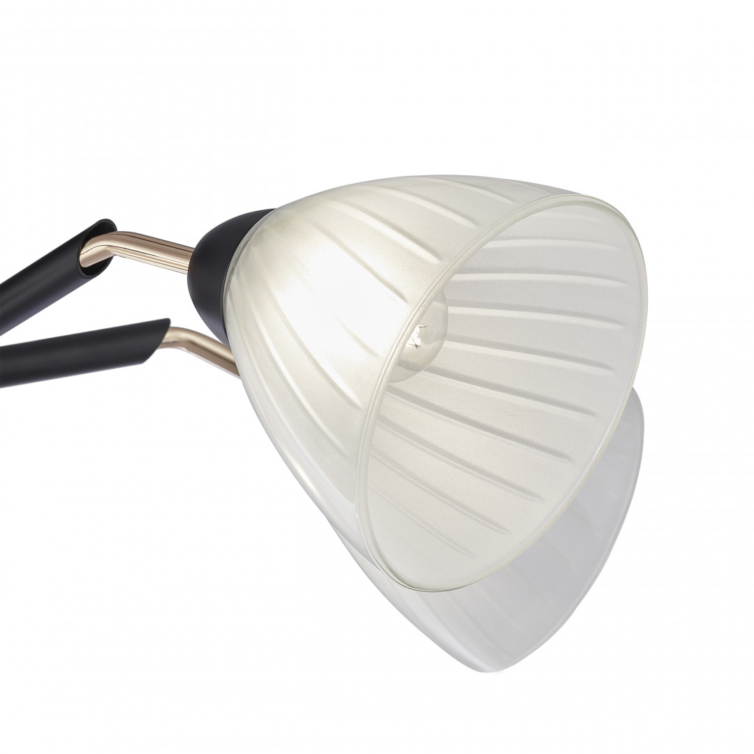 Люстра с плафонами 324108/5 BK+FG Arte Milano