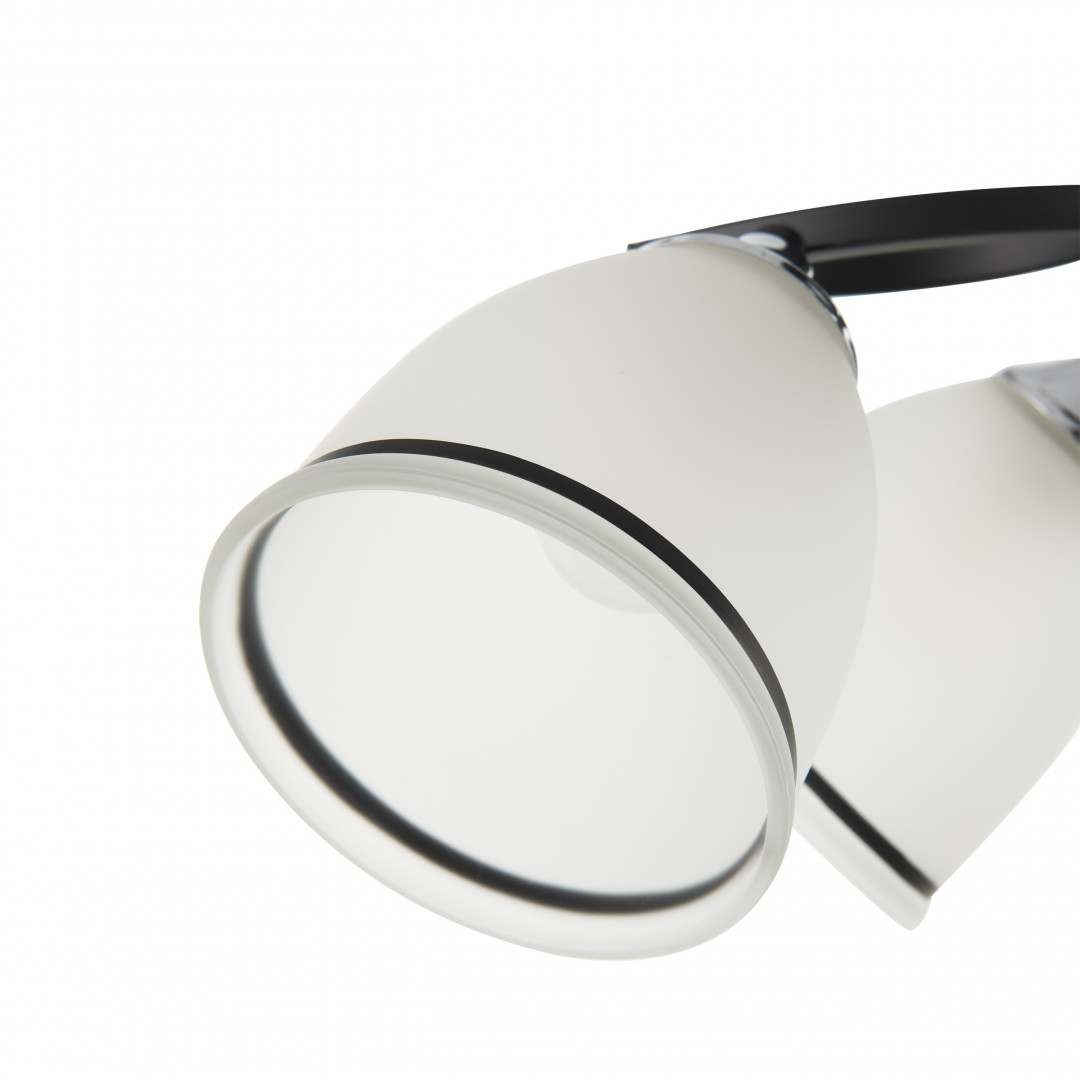 Люстра с плафонами 325885/5A BK+CR Arte Milano