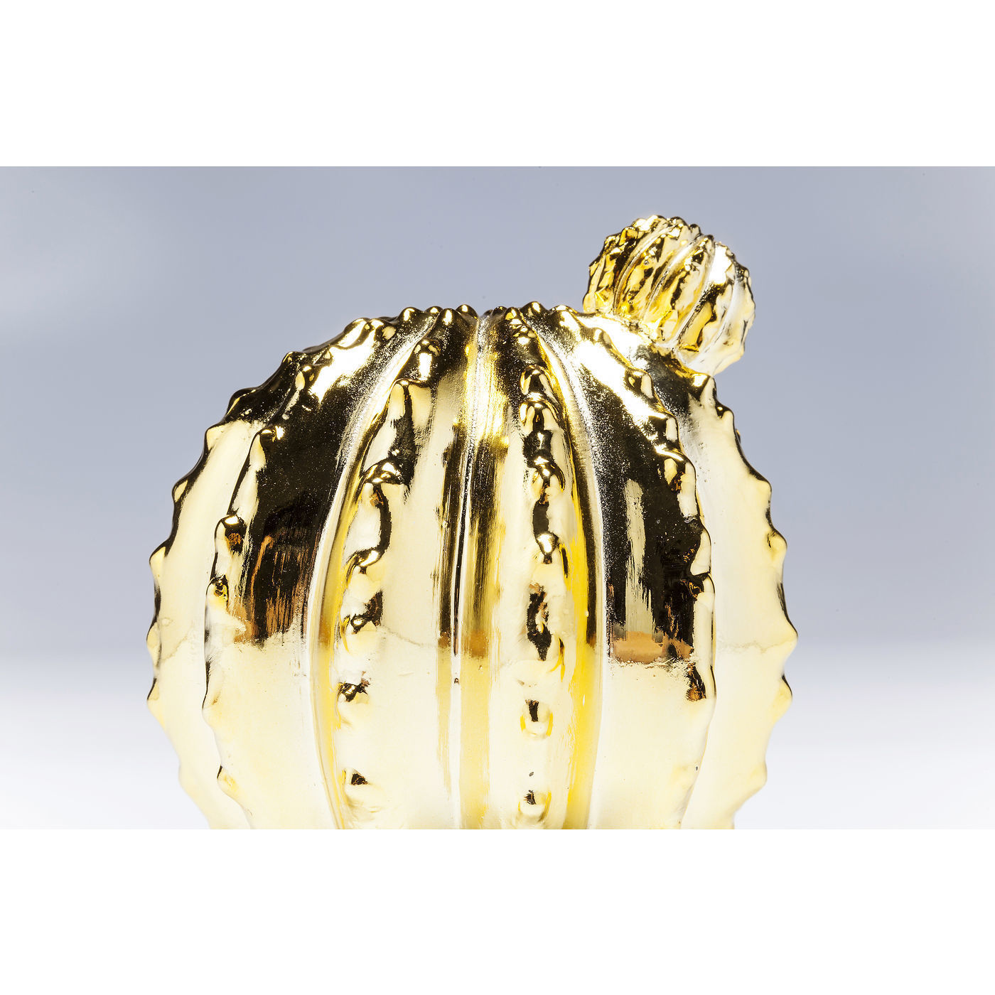 Копилка Cactus 60272 KARE