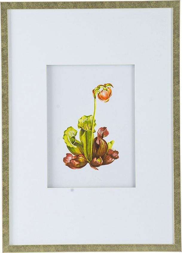 Панно Флора, Glasar SM49995