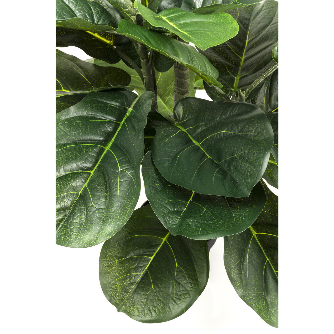 Предмет декоративный Fiddle Leaf 60723 KARE