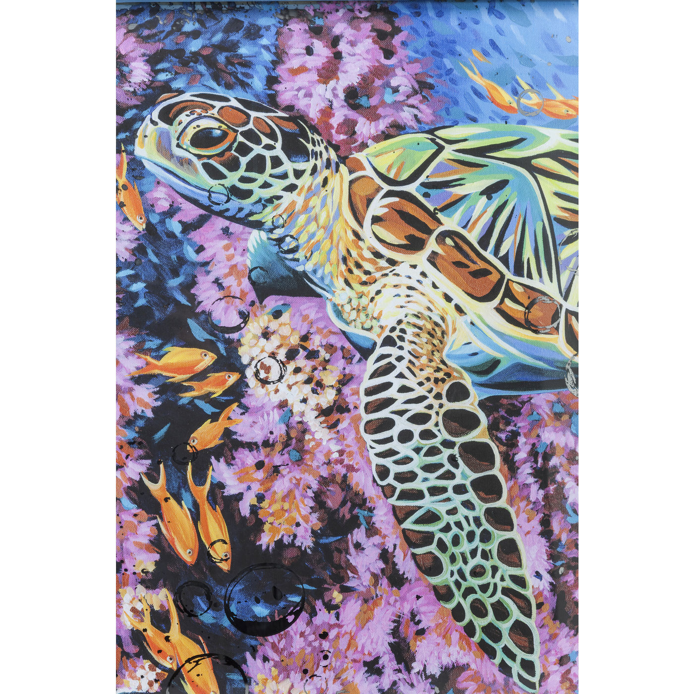 Картина Sea Turtle 38418 KARE