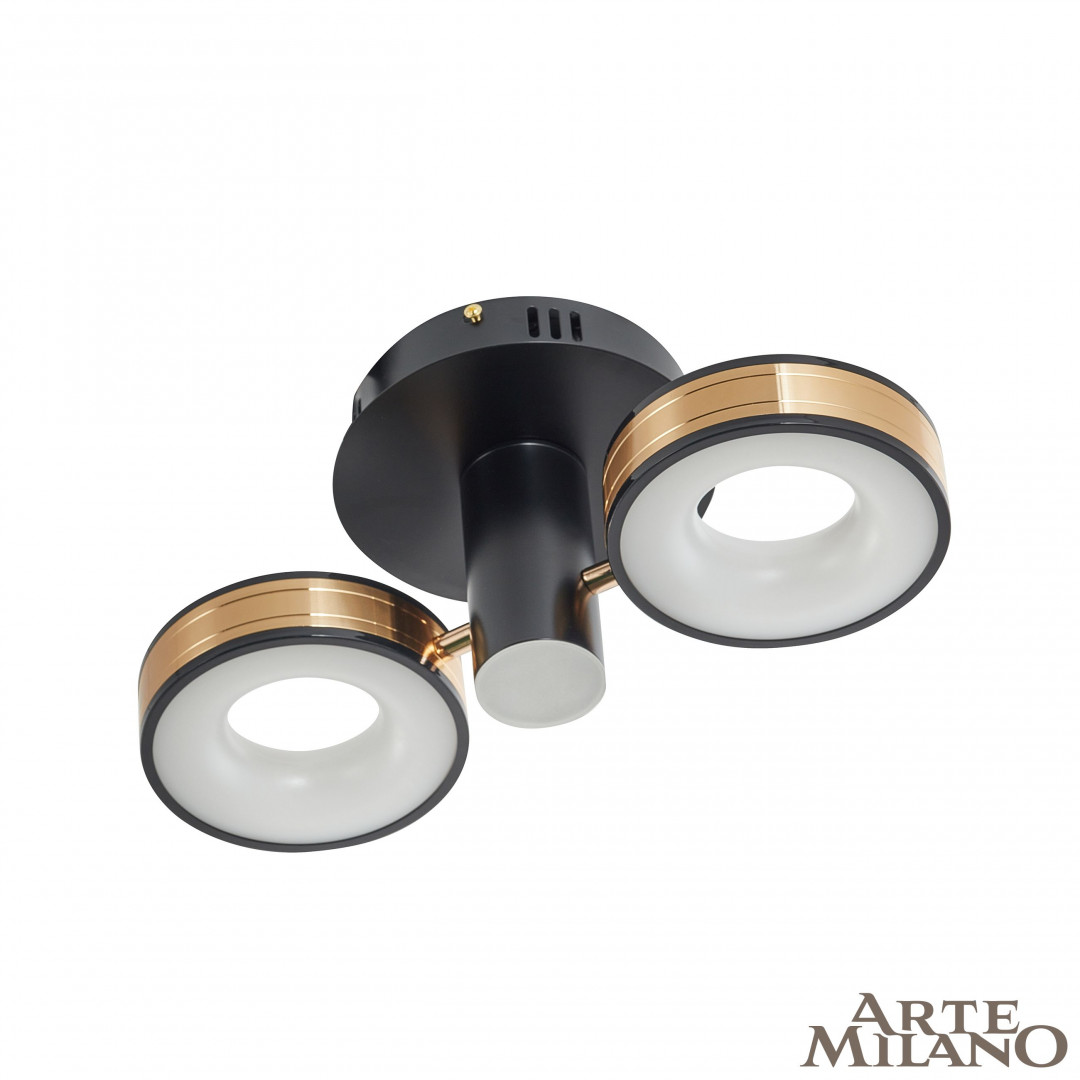 Светильник светодиодный 271040/2R BK/GD Arte Milano
