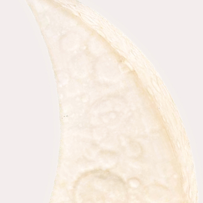 Напольный светильник SONNI B by ImperiumLoft