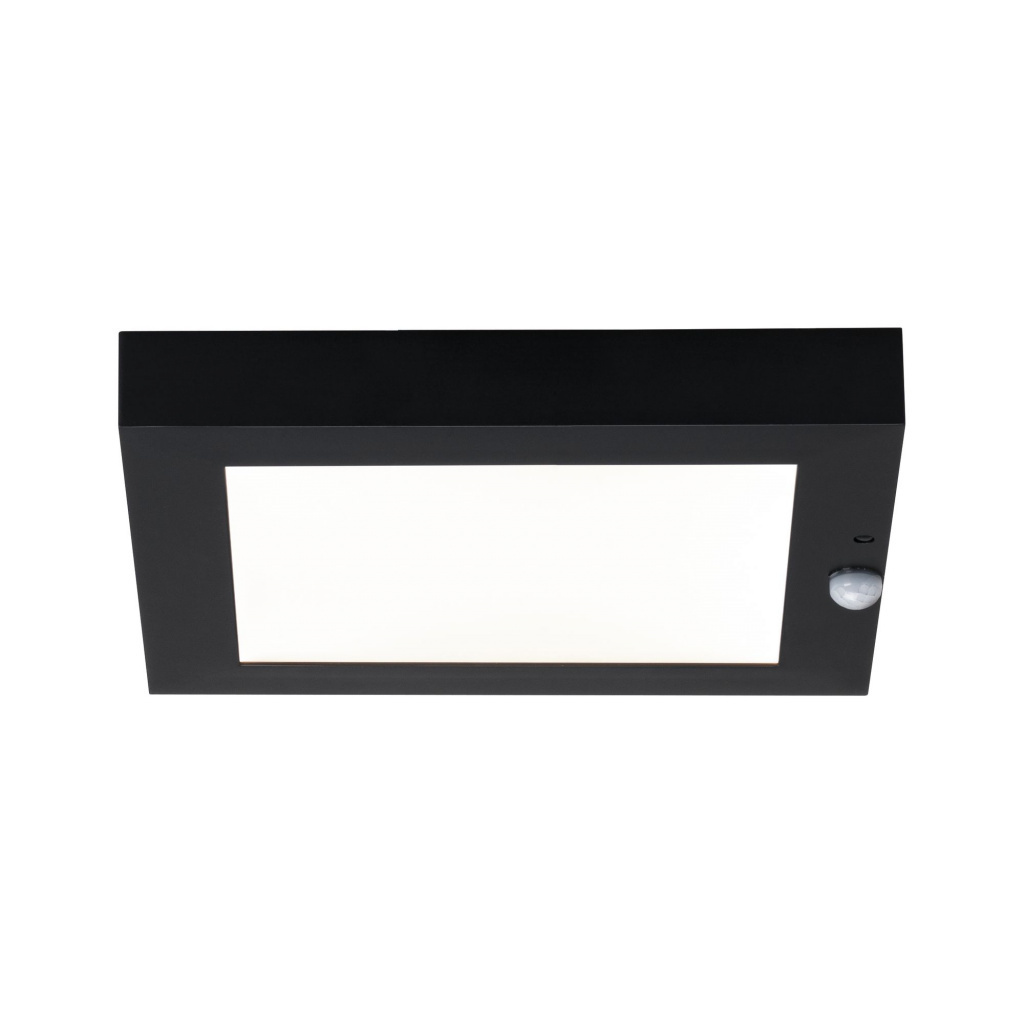 Уличный светильник Paulmann 94254