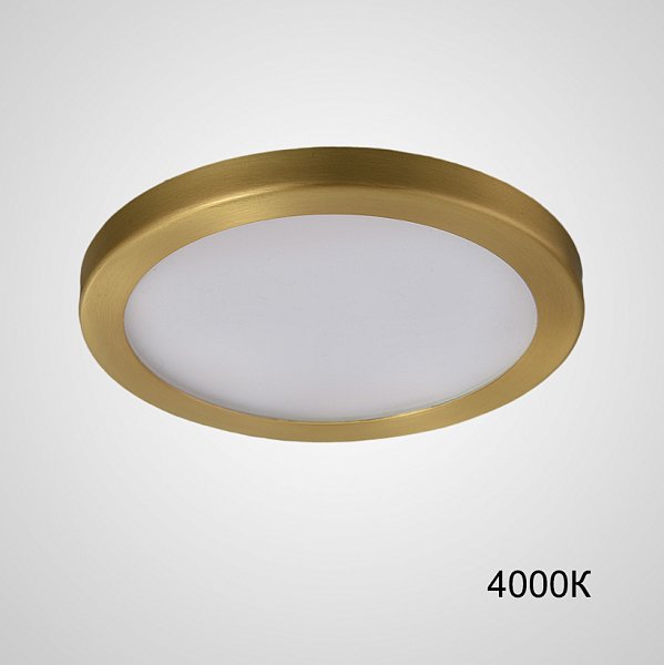 Точечный светодиодный светильник HEIN D12 Brass Трехцветный свет by ImperiumLoft