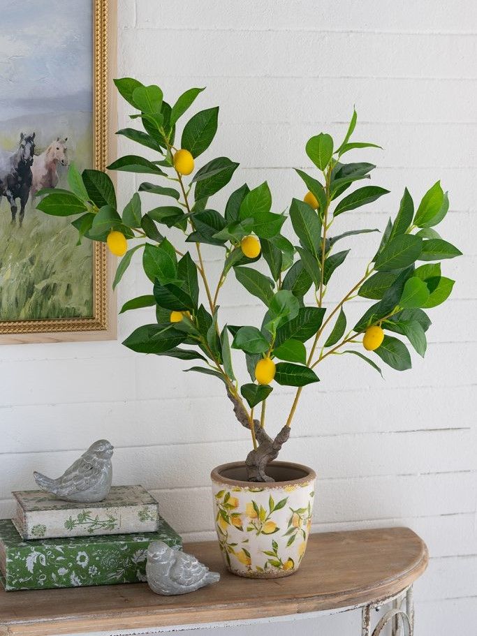 Растение декоративное Лимонное дерево Glasar A5744