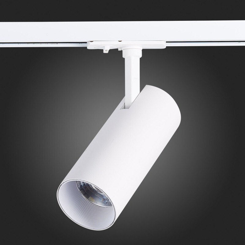 Светильник на шине ST Luce ST350.546.20.36