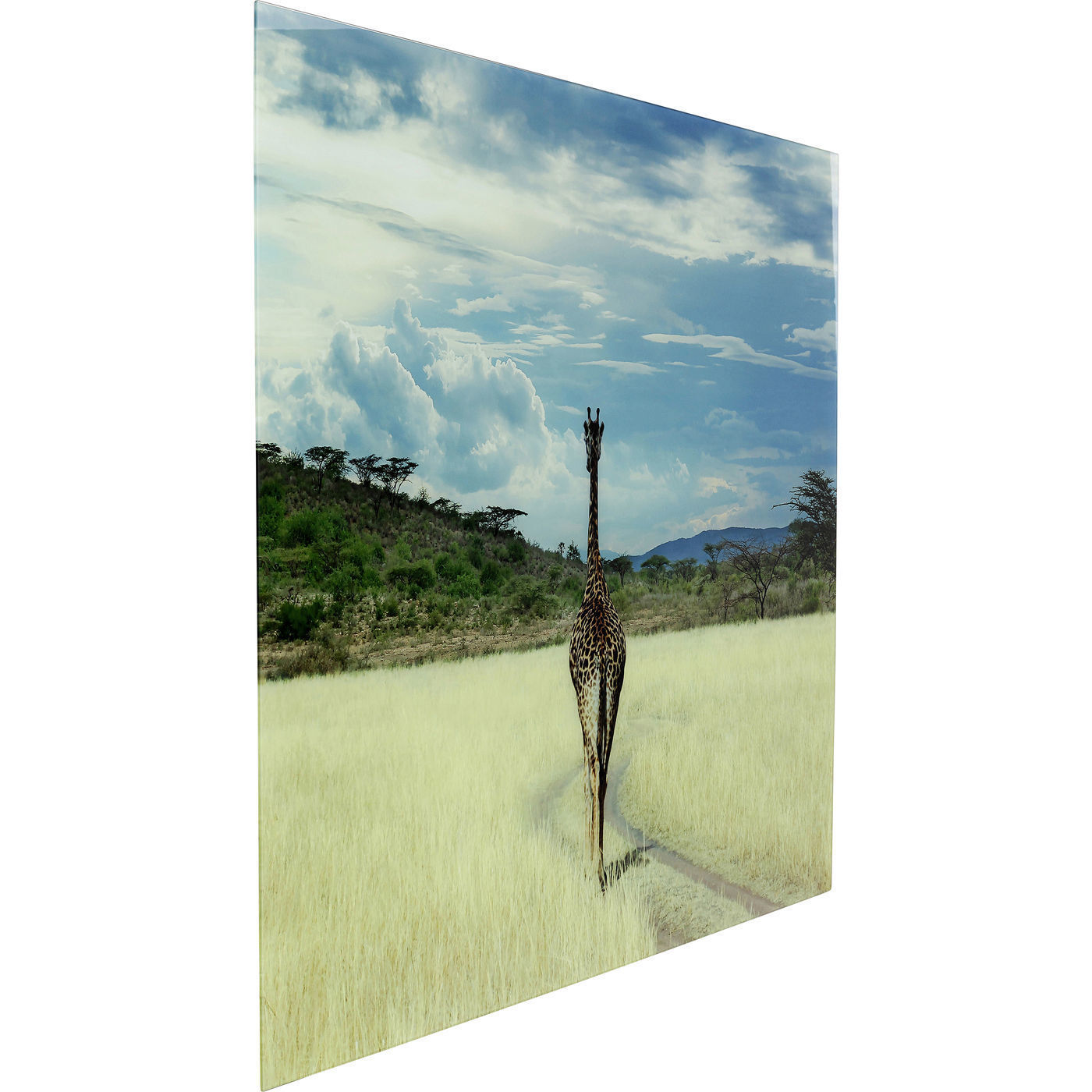 Картина Savanne 51815 KARE