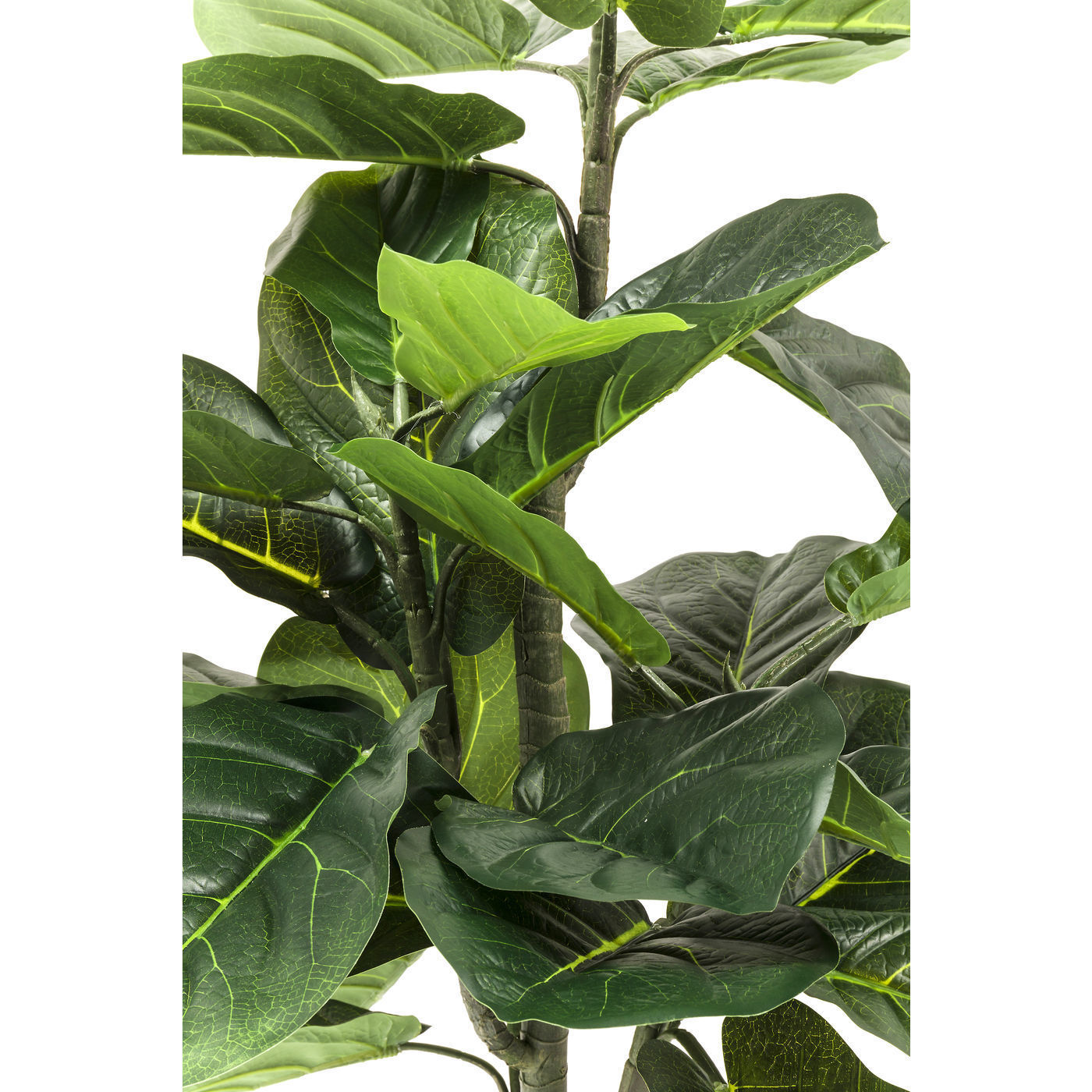 Предмет декоративный Fiddle Leaf 60723 KARE