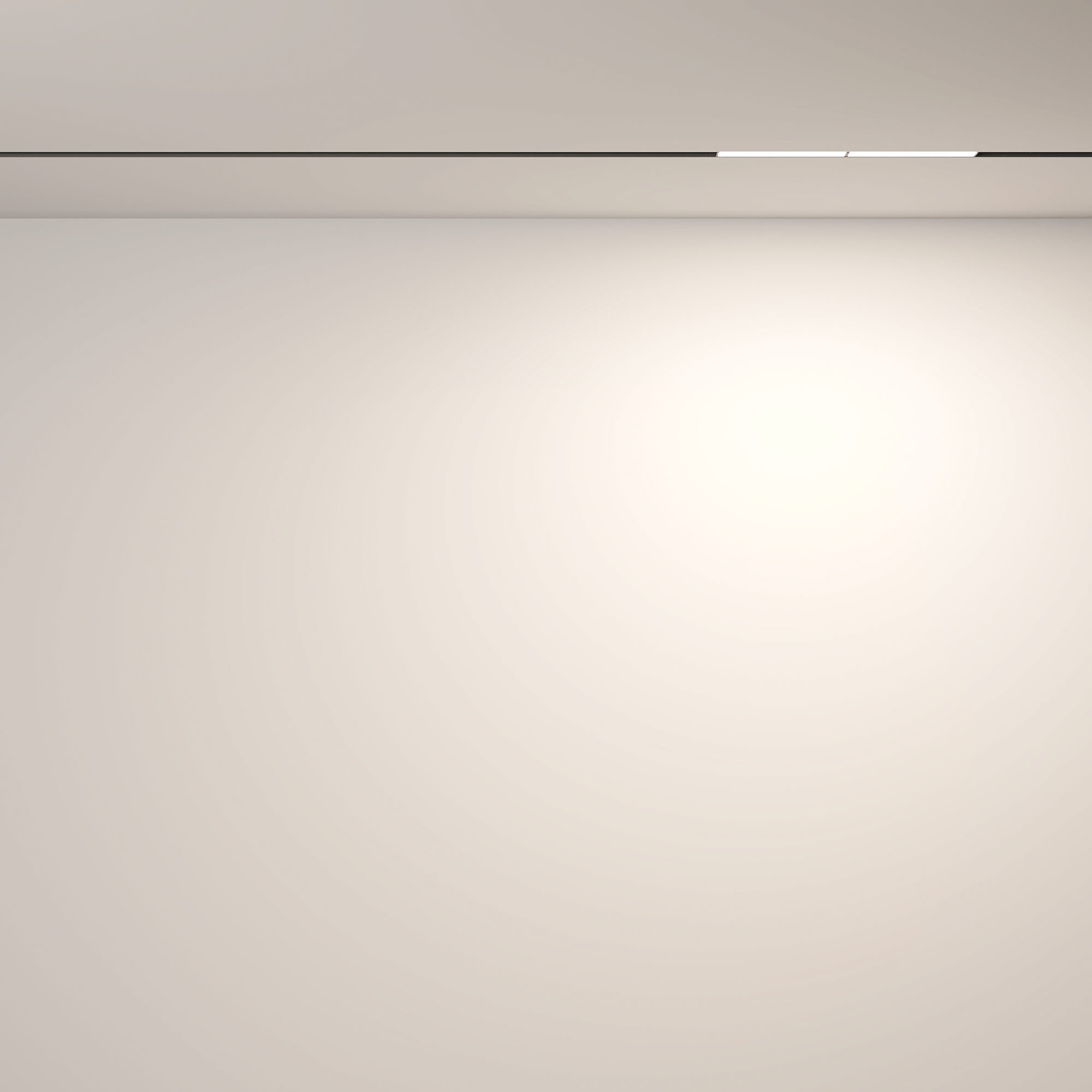 Трековый светильник Technical TR106-4-12W-DS-B