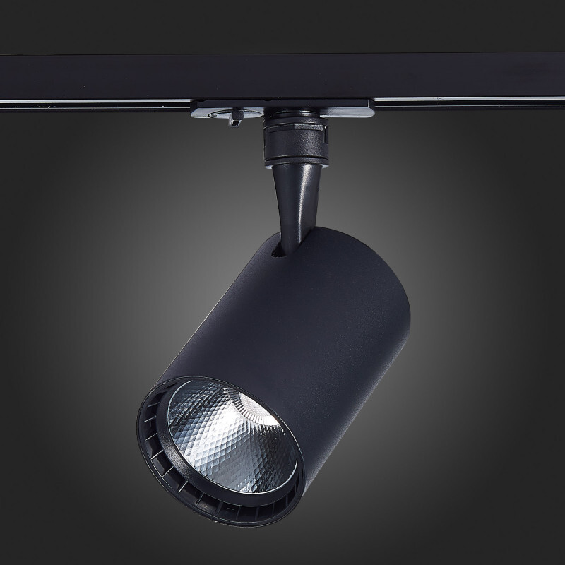 Светильник на шине ST Luce ST351.446.30.36