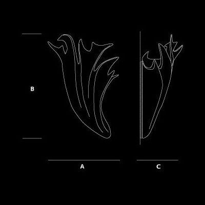 Настенный светильник Serip Carpa AP1489/L