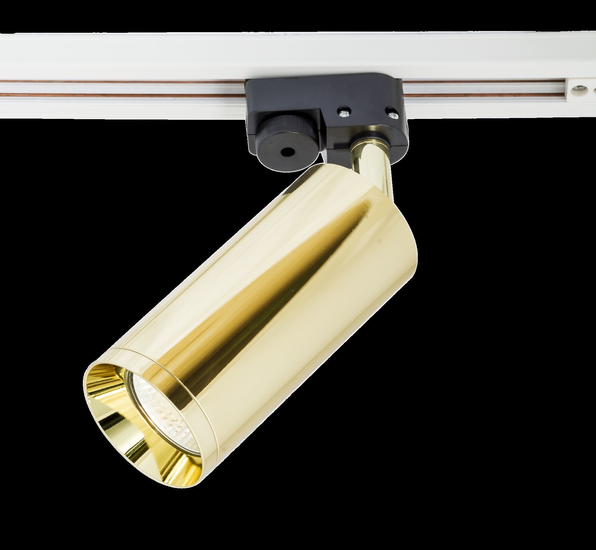 Трековый светильник Maytoni TR004-1-GU10-G