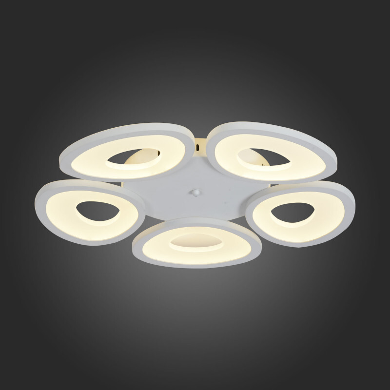 Накладной светильник ST Luce SL929.502.05