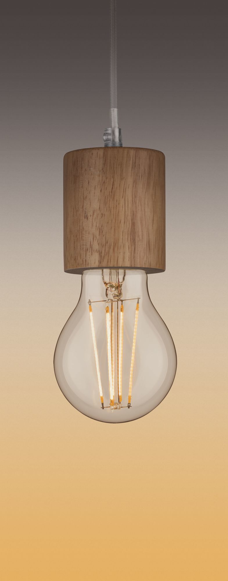 Светодиодная лампа Paulmann 28570