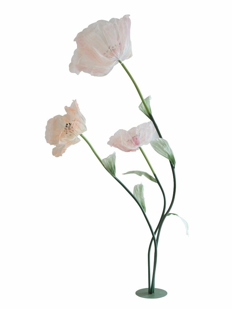 Растение декоративное Мак Glasar F98605