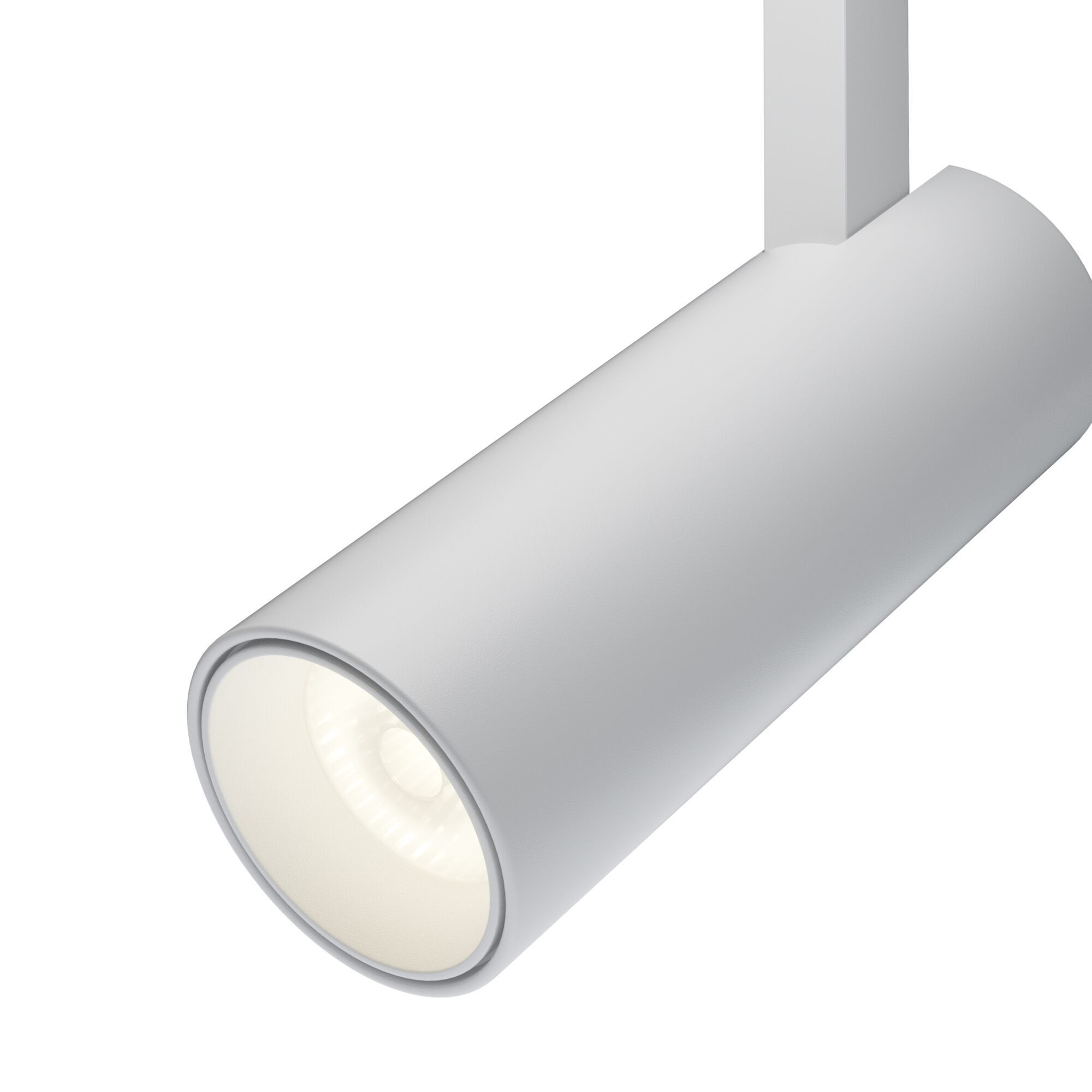 Трековый светильник Maytoni TR019-2-10W3K-W