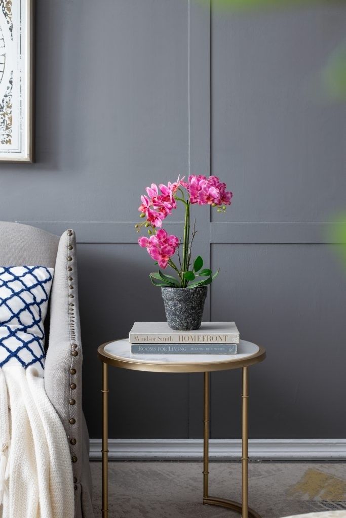 Растение декоративное Орхидея Glasar 420024-AB