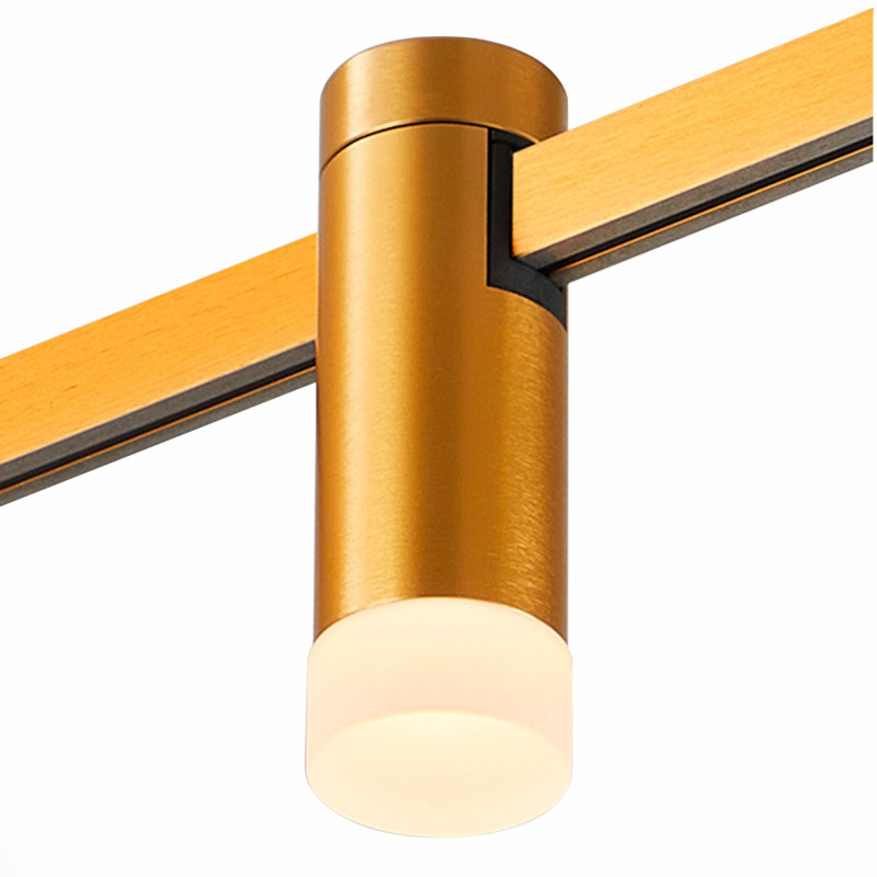 Светильник на шине ST-Luce ST812.246.03